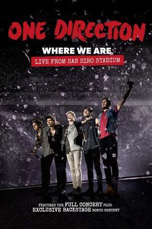 Movie One Direction: Where We Are – La película del concierto