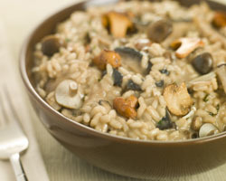 Moda Risotto de Setas: Receta Casera