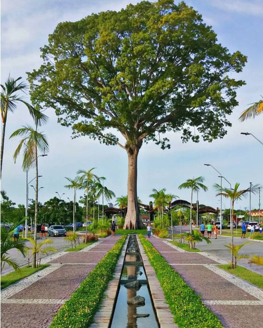 Moda Parque do Utinga🌳