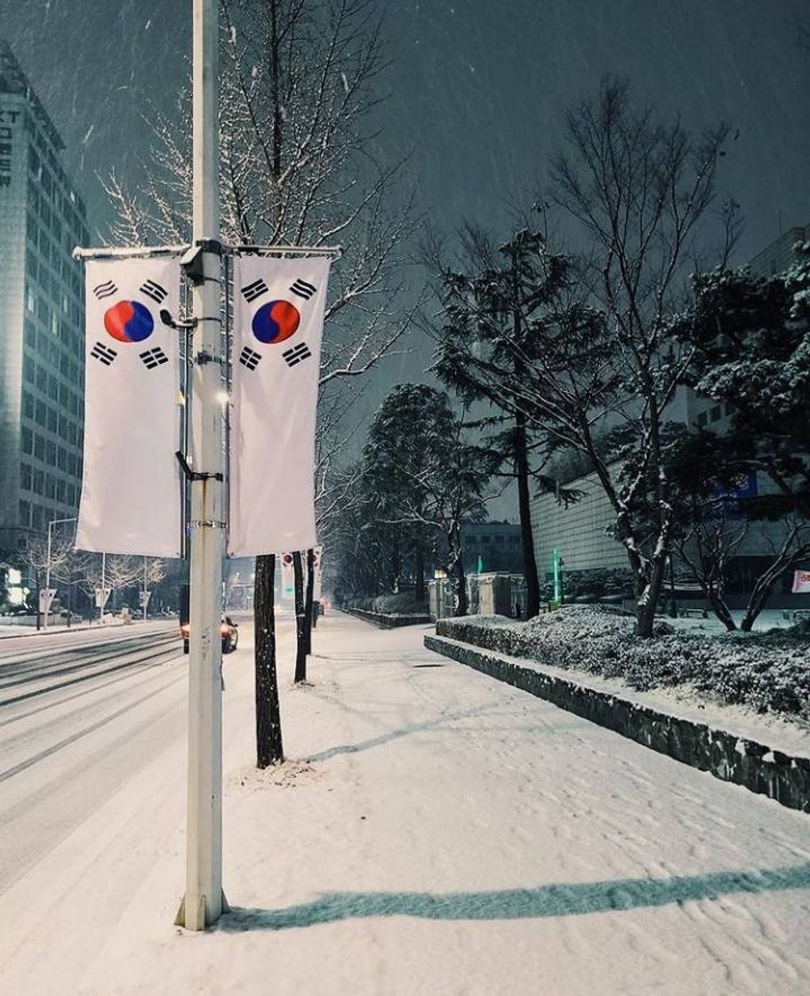 Fashion Neve ❄️🇰🇷