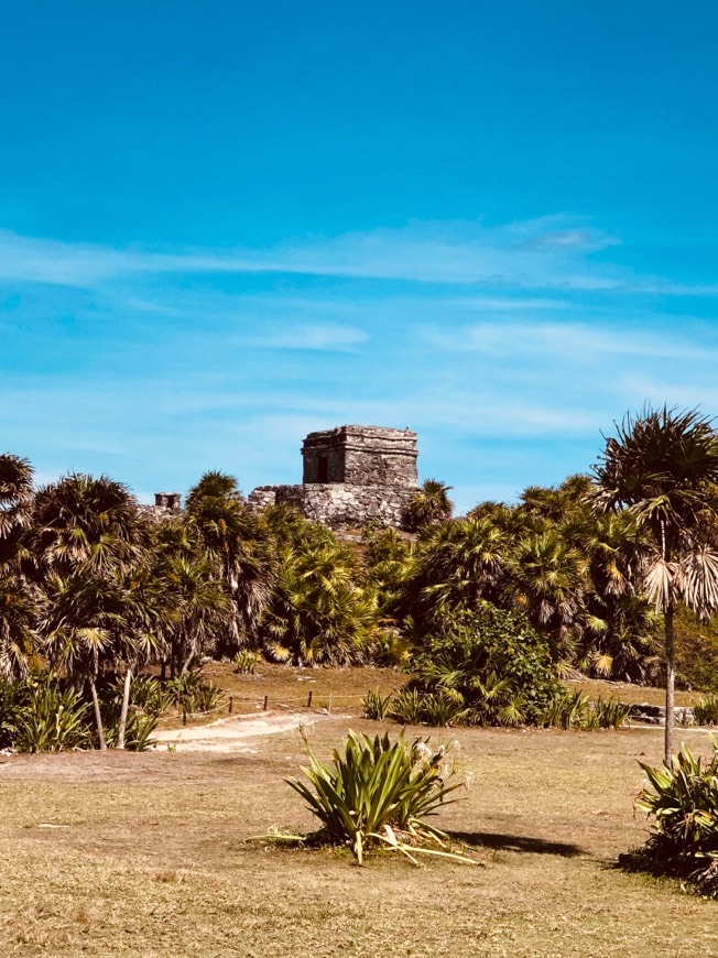 Place Ruinas de Tulum