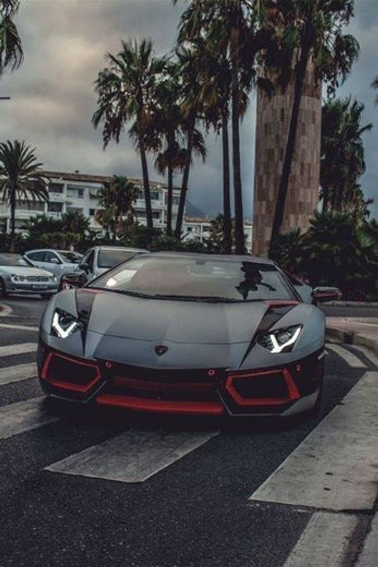 Social Lamborghini🚘🚗