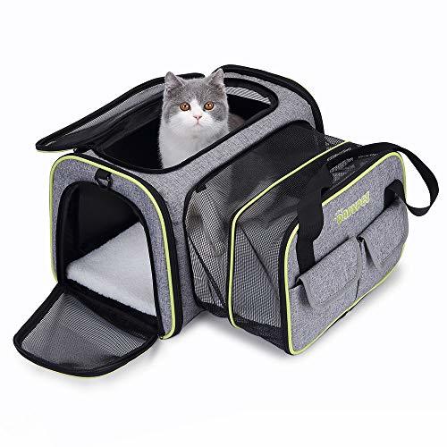 Social DADYPET Transportin Gato, Transportin Perro Pequeño Mascotas Cómodo Bolso para Transporte en