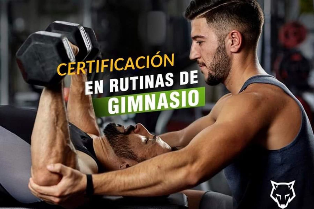 Fashion NASM | Personal Training & Fitness Certifications | Start for Free!