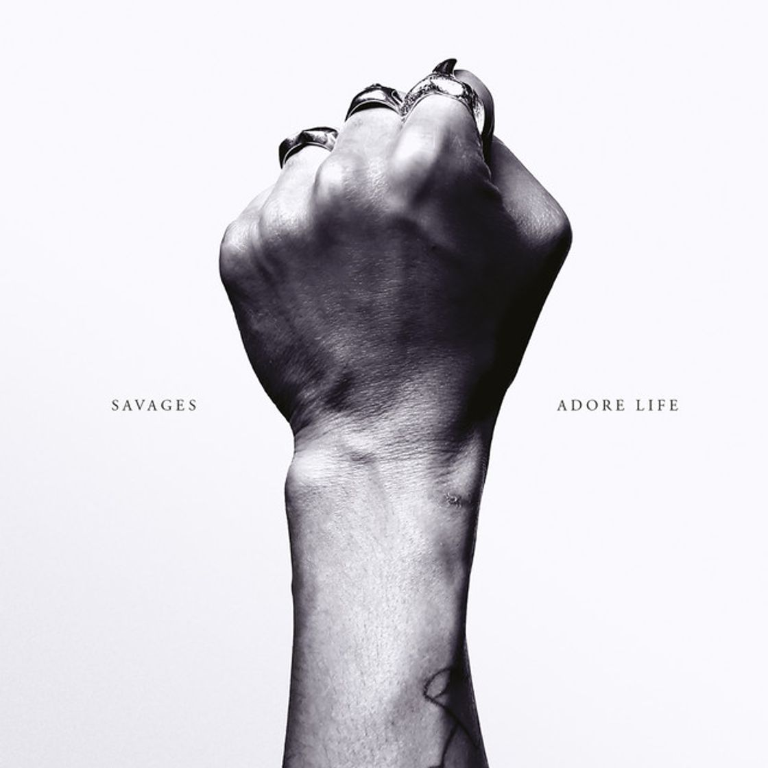 Music Adore