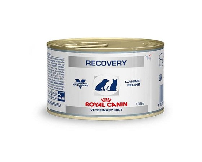 Products Royal Canin C-11402 Diet Recovery