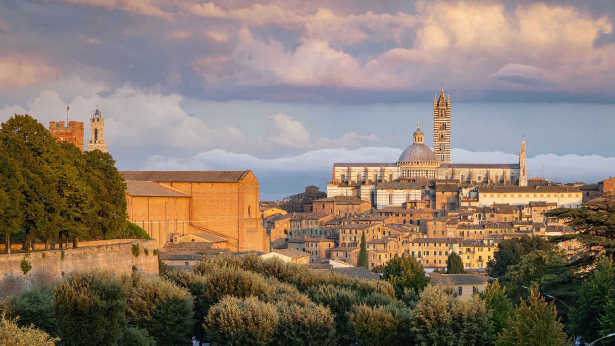 Place Fortezza Medicea