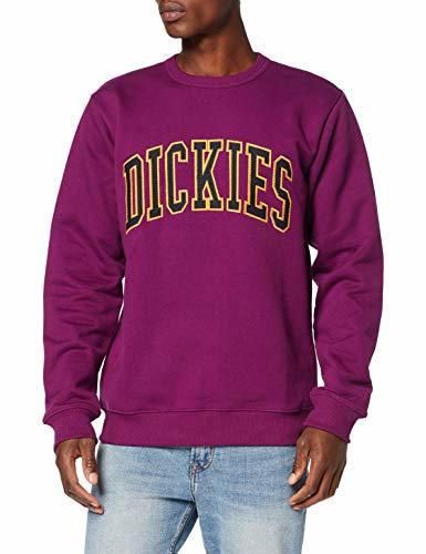 Dickies Mount Sherman suéter, Morado, Large