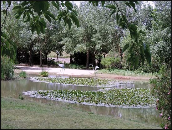 Lugar Parc de La Rambleta