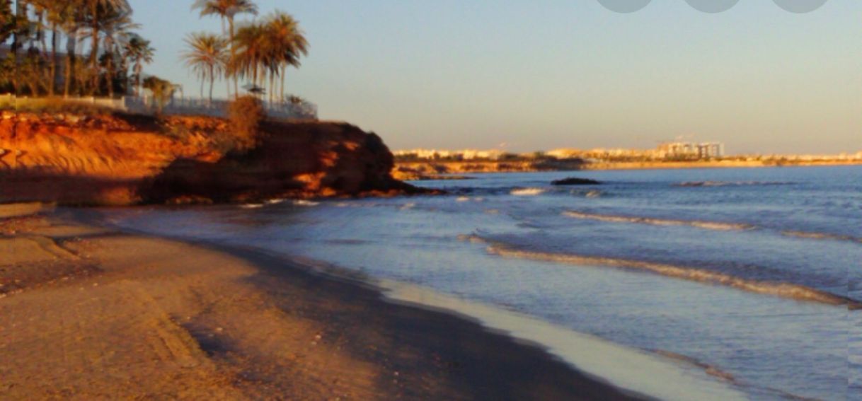 Restaurantes Playa de la Zenia