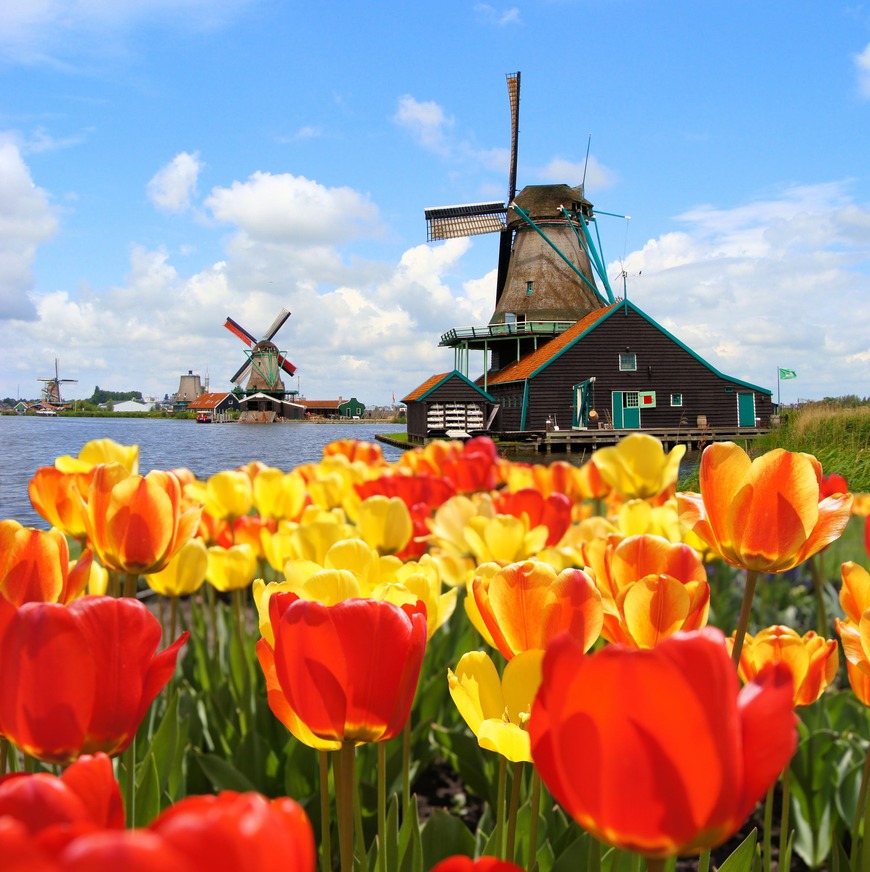 Place Holanda