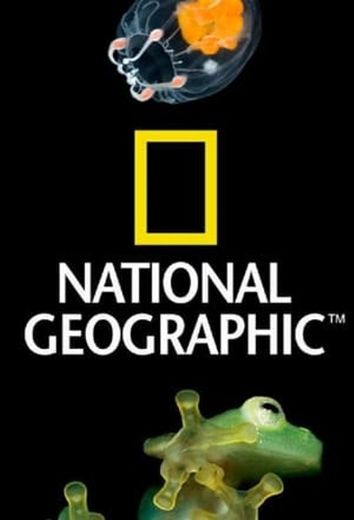 National Geographic 100 Years