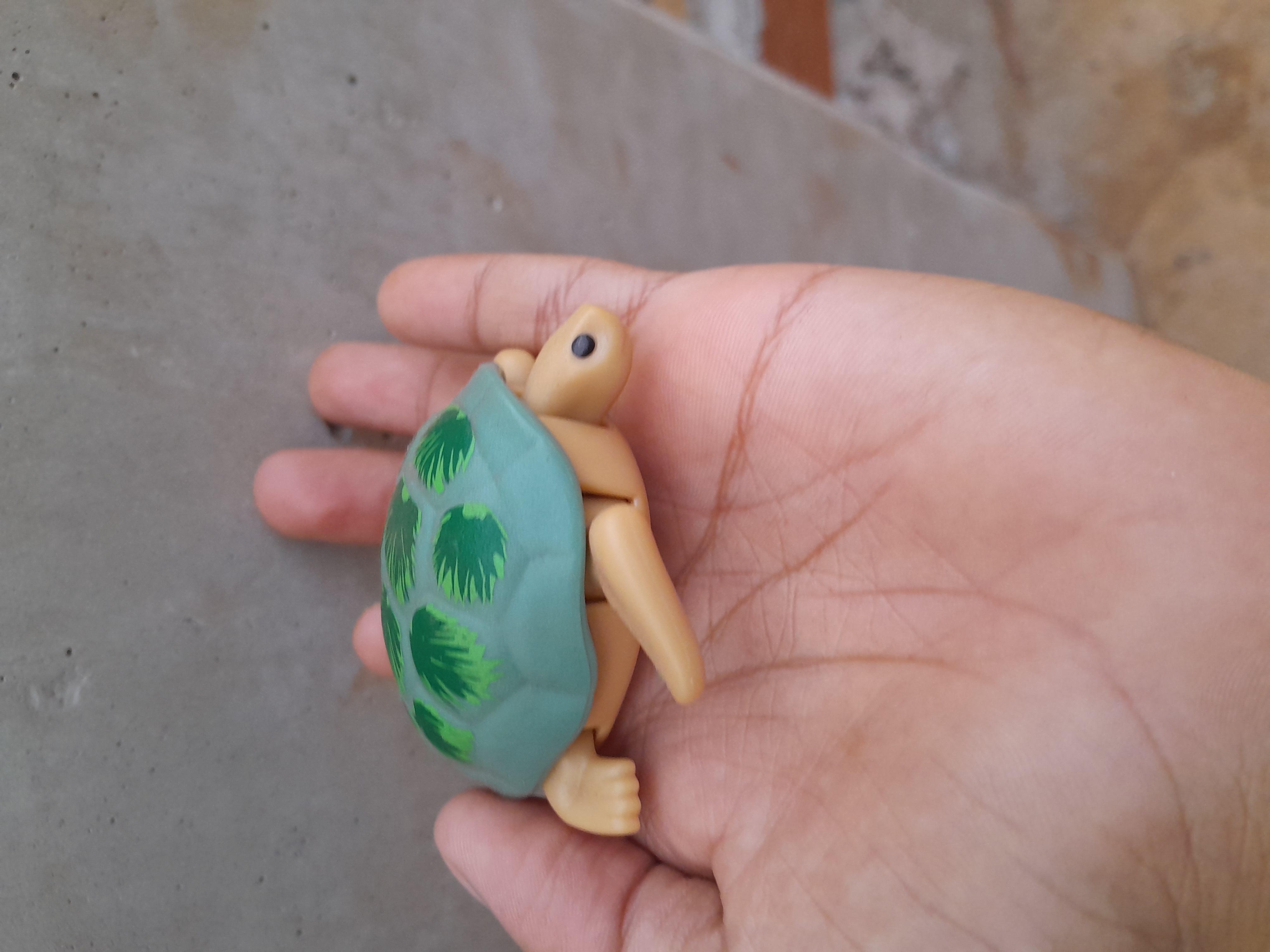 Social A tartaruga que se mexe
E vale a pena