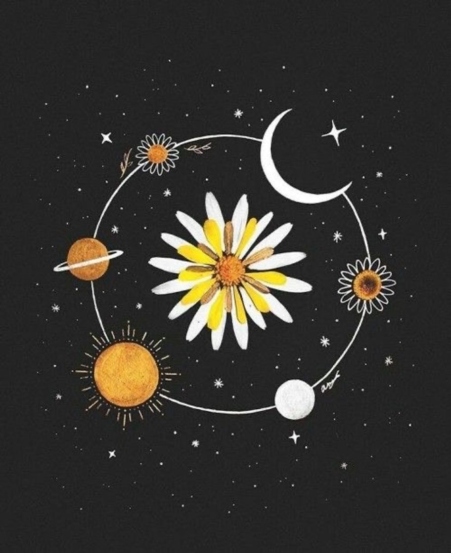 Social 🌻✨