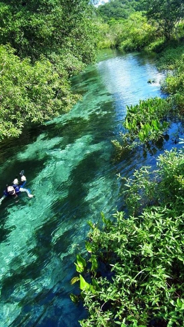 Lugar Bonito - MS