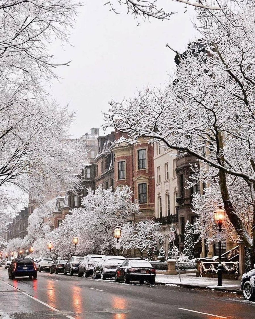 Place Boston