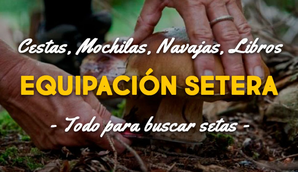 Tienda de setas online