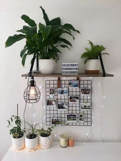 decoração com plantinhas 1