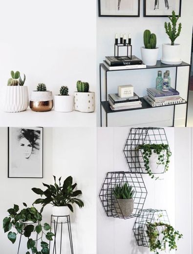 decoração com plantinhas 2