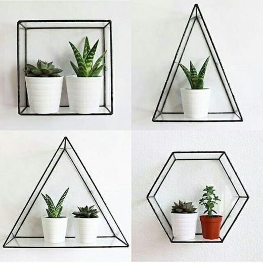 decoração com plantinhas 3