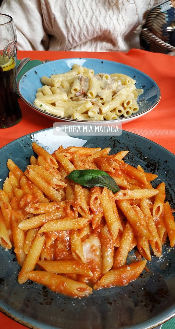 Restaurants Restaurante pizzeria Terra Mia