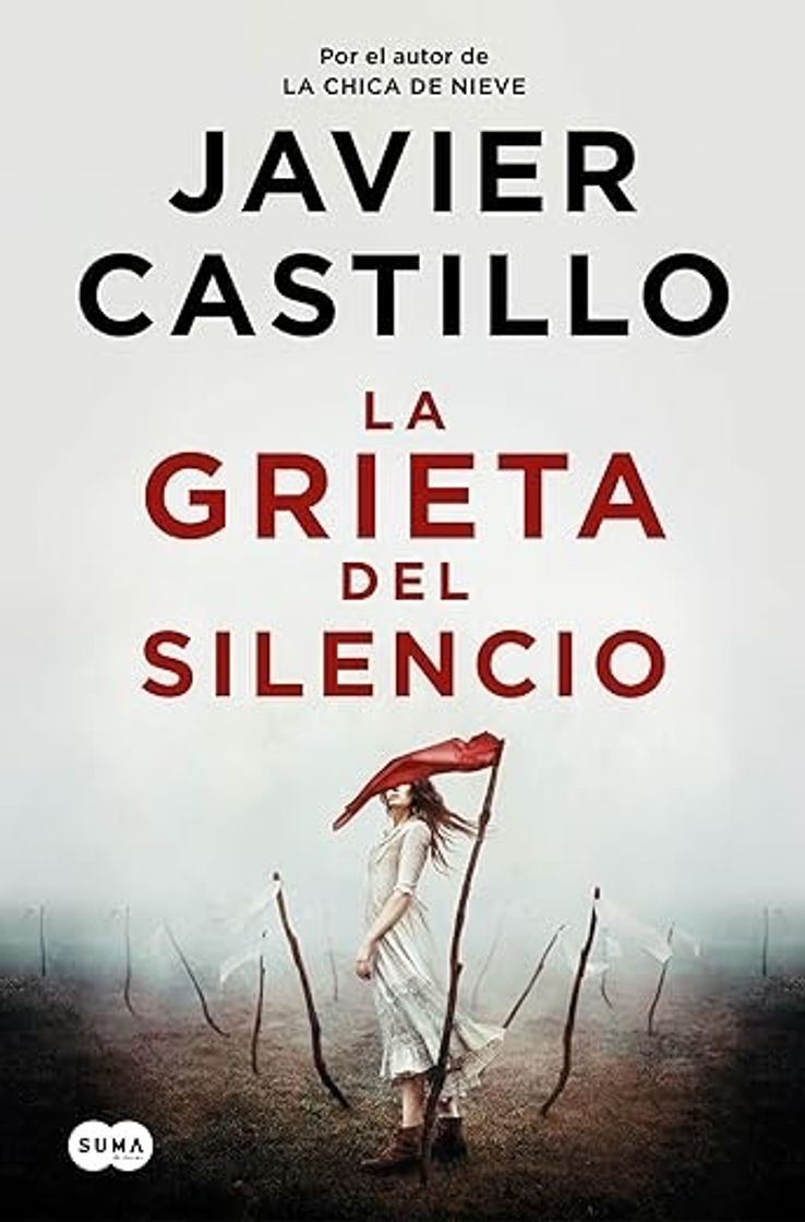 Book La grieta del silencio 
