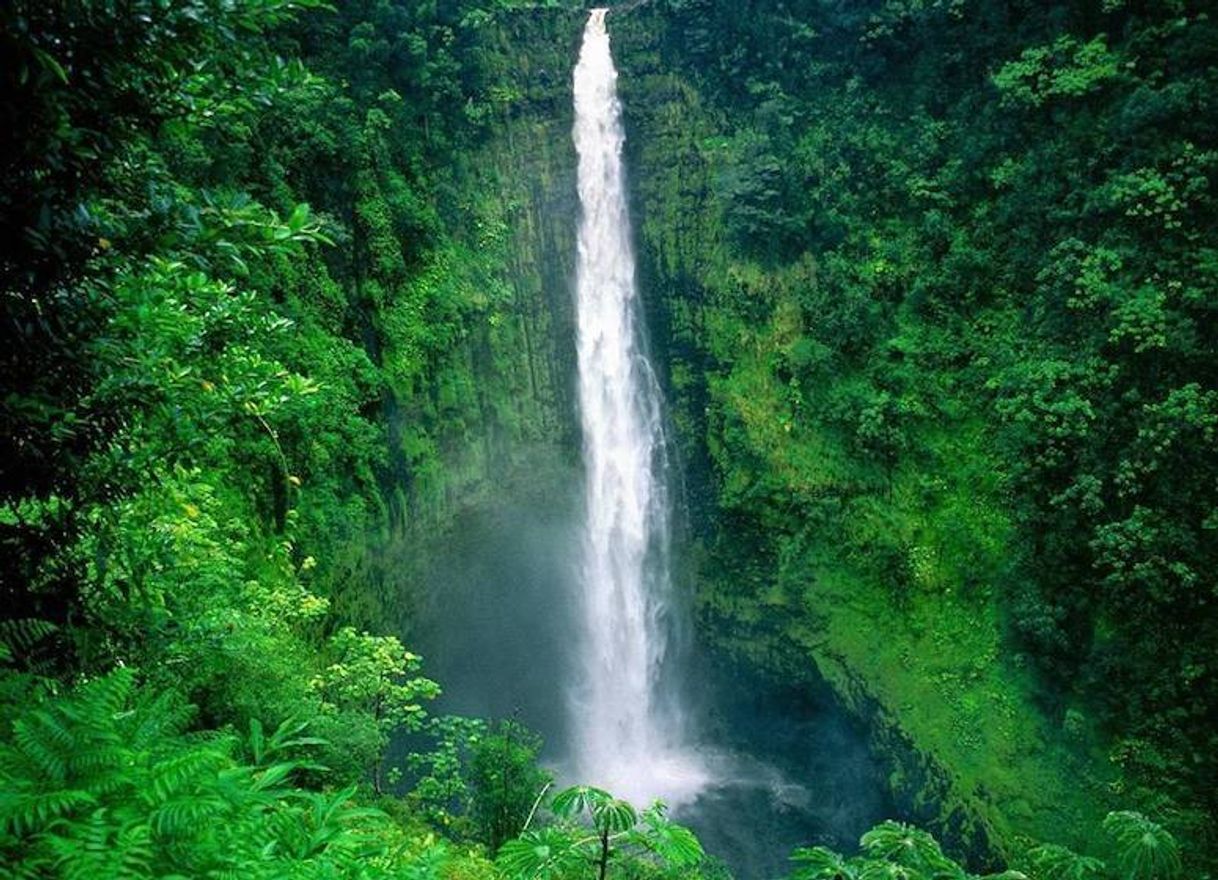 Lugar Cachoeira do El Dorado