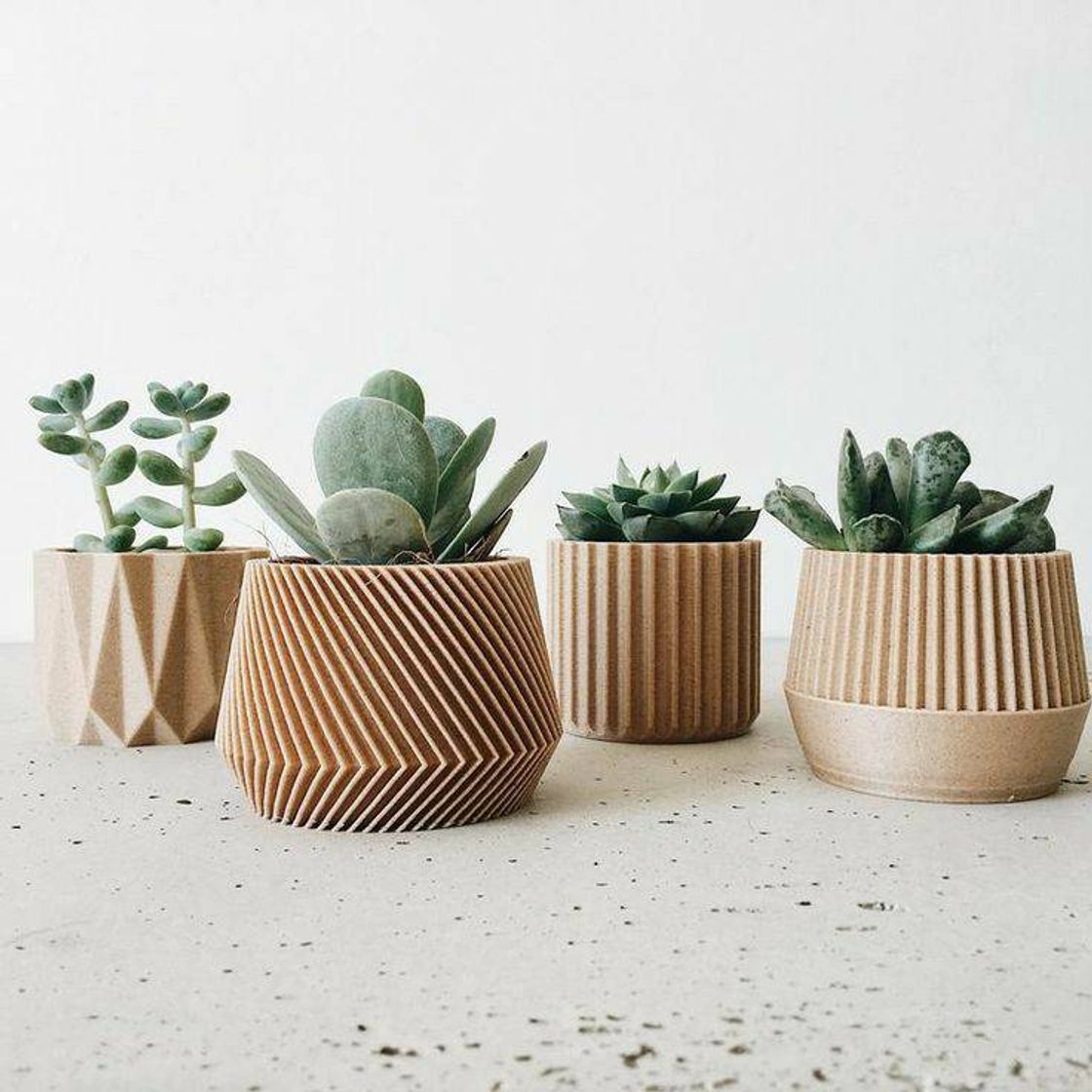 Fashion Succulent pots