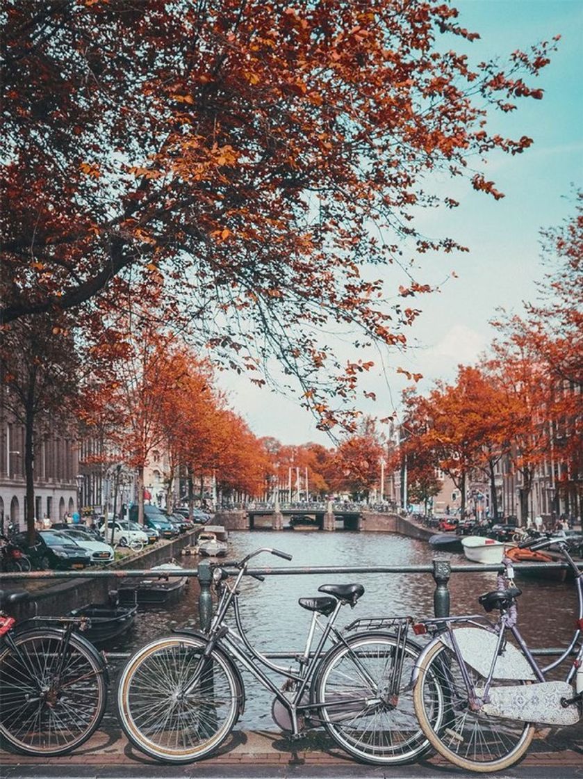 Social A m s t e r d a m 🍂