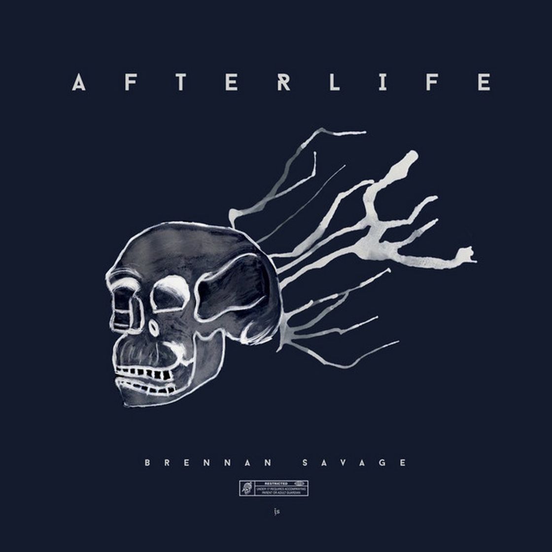 Canción Afterlife