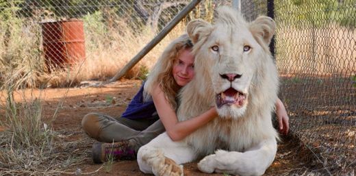 Mia y el león blanco | Netflix