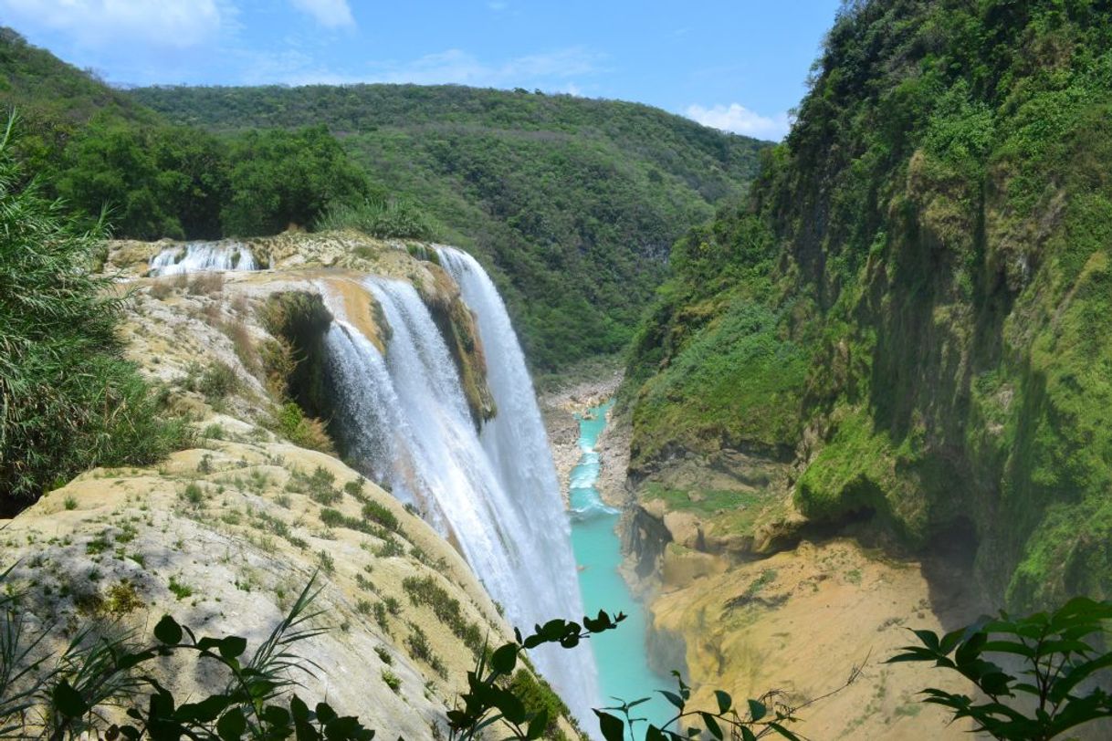 Place São Desidério: descubra as belezas naturais do município baiano