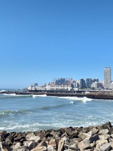 Mar del Plata