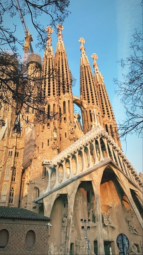 Lugar Basílica Sagrada Familia