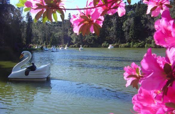 Moda Lago Negro-Gramado RS