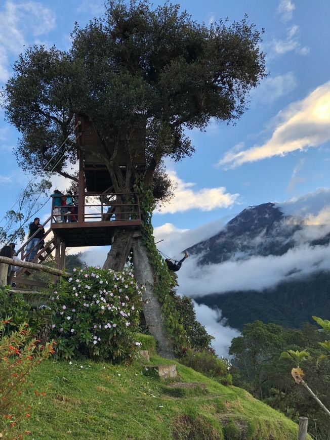 Place La Casa del Arbol