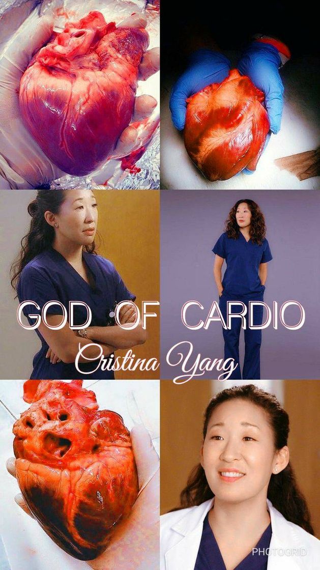 Moda Wallpaper de Grey's Anatomy 