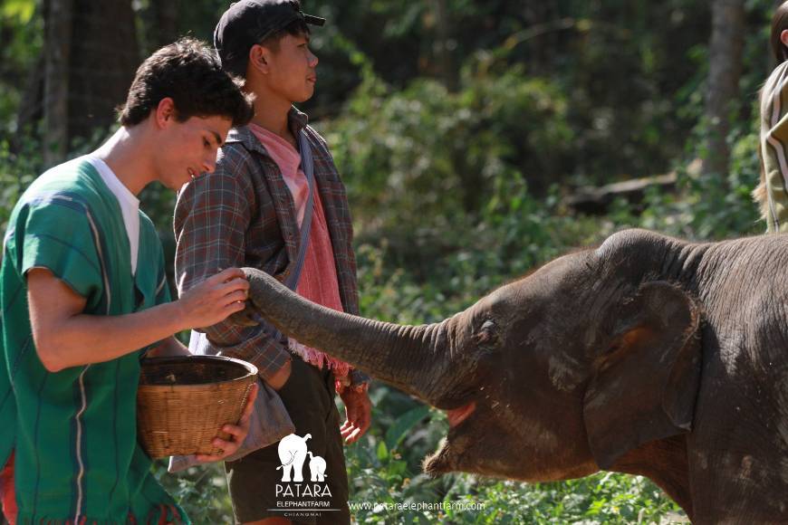 Place Patara Elephant Farm