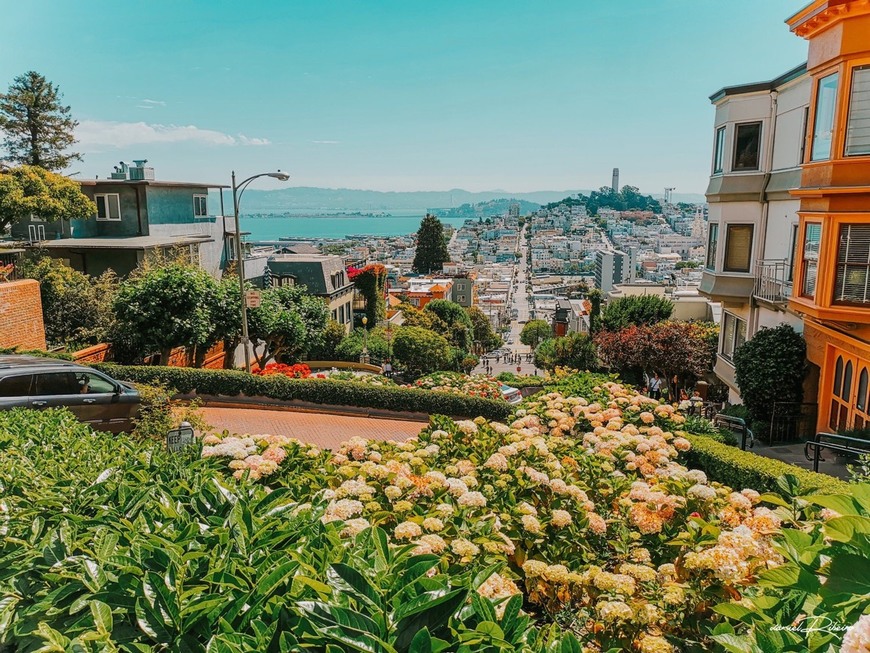 Place Lombard Street