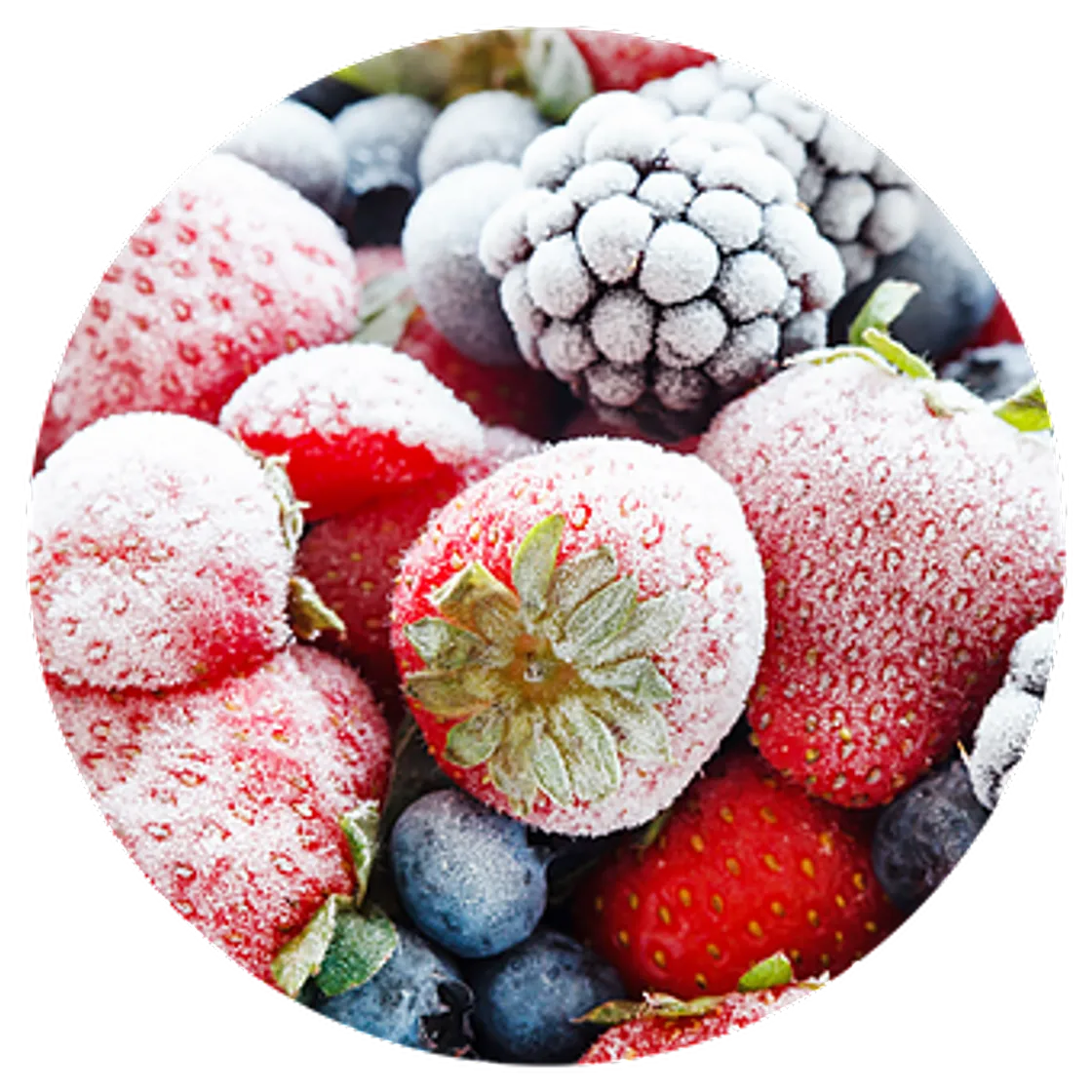 Fruta congelada 🍓
