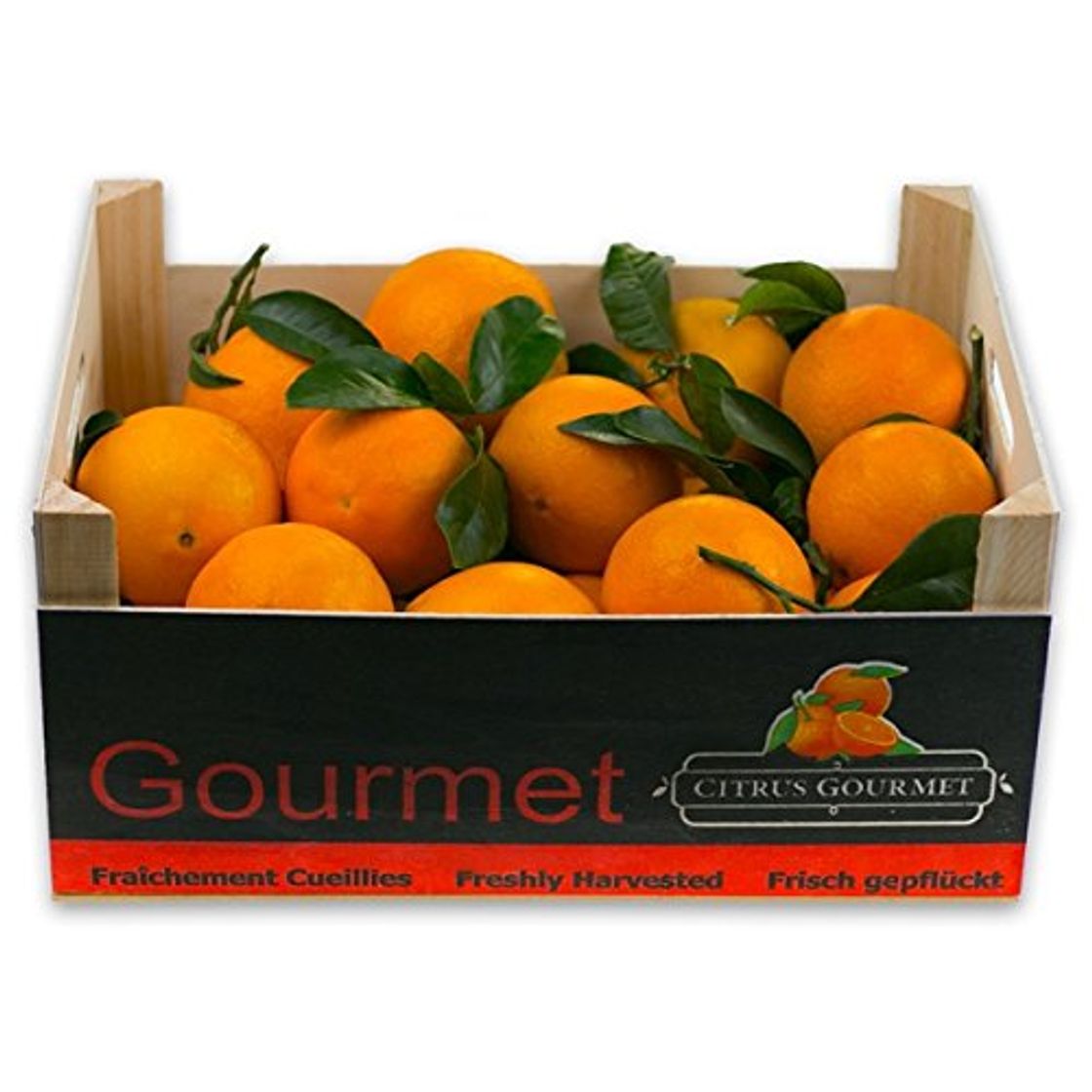 Products Caja de Naranjas Valencianas de Zumo 12 Kgs