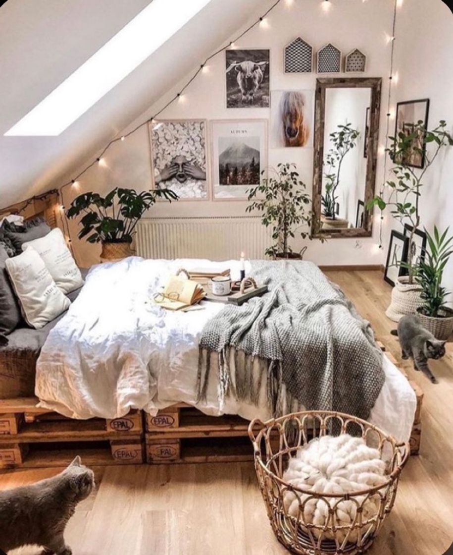 Deco 🏡 