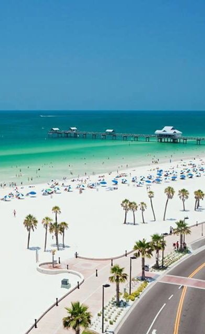 Place Clearwater Beach