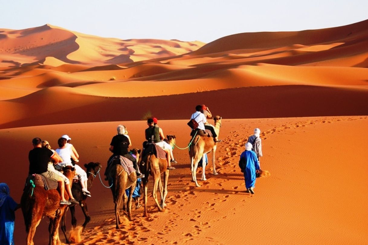 Place Travel To Desert