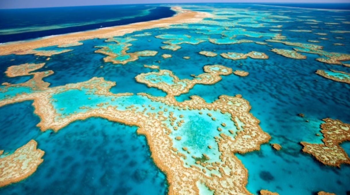 Place Great Barrier Reef