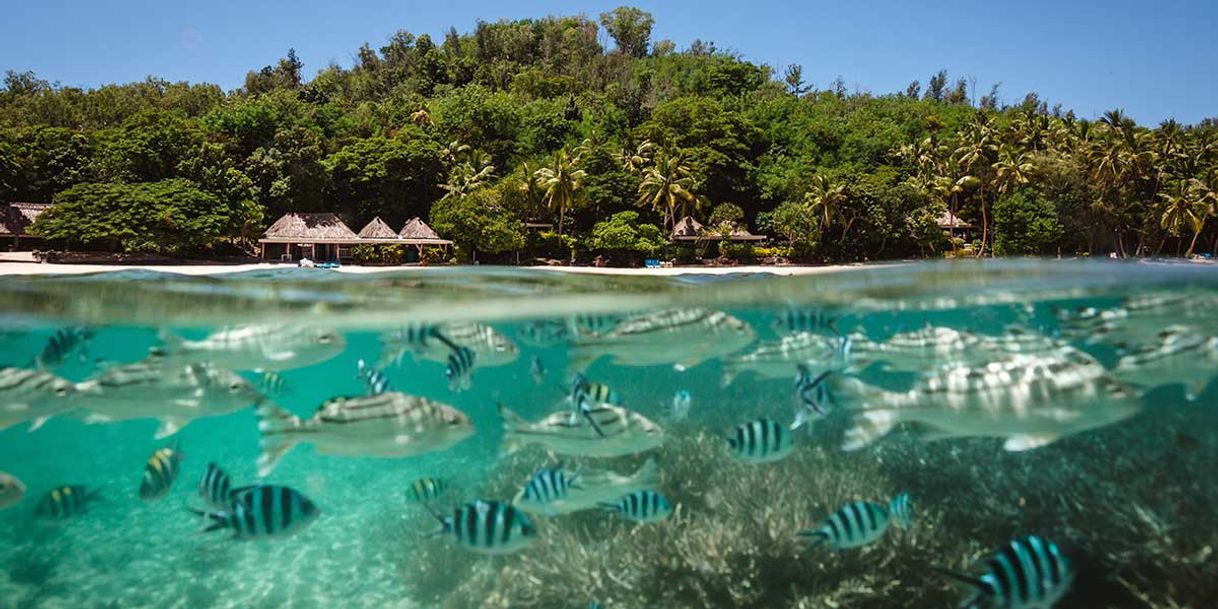 Lugar Turtle Island Fiji