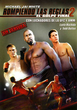 Movie Rompiendo las reglas 2: El golpe final