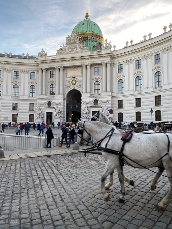 Place Vienna