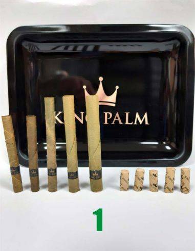 Social Pack king palm