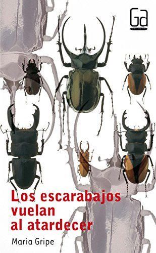 Los escarabajos vuelan al atardecer: 31